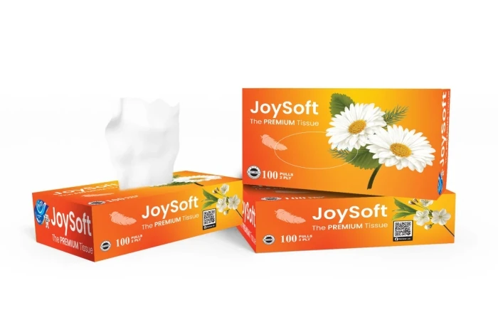 JoySoft Box Tissue  (100 Pulls)