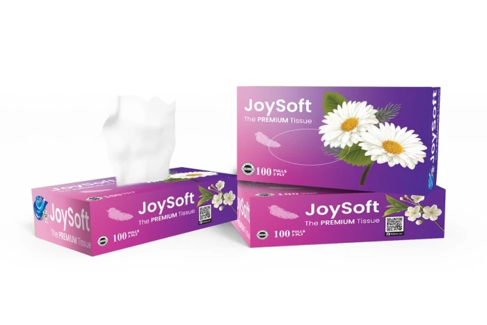 JoySoft Box Tissue  (100 Pulls)