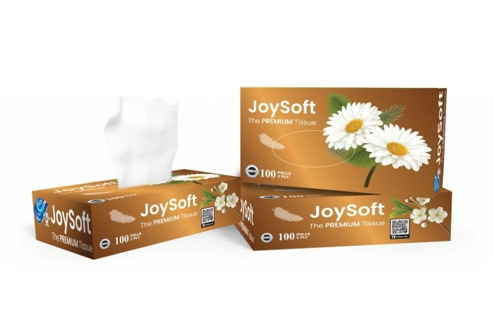 JoySoft Box Tissue  (100 Pulls)